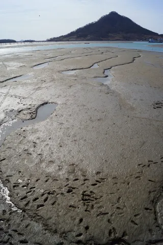 海，岛，安全，帐户，潮汐，海，岛，安全帐户也，沙