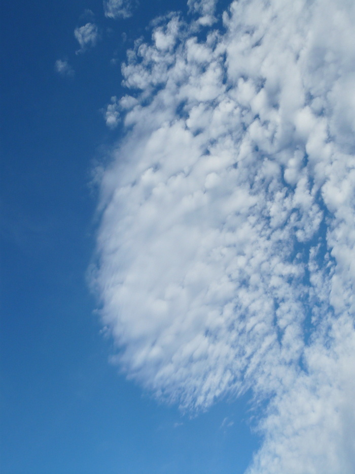 天空，云，蓝色，schäfchenwolke，空气，高，自然，天气