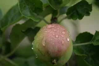 <!DOCTYPE html>
<html>
    <head>
        <title>文件“C:log.txt”正由另一进程使用，因此该进程无法访问此文件。</title>
        <meta name="viewport" content="width=device-width" />
        <style>
         body {font-fam