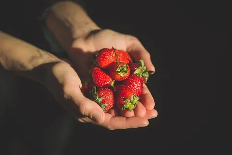 一把草莓照片 一把草莓照片
