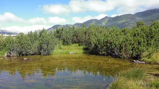柏格西，自然，高山，水，天空，植物，自然之美，风景-自然