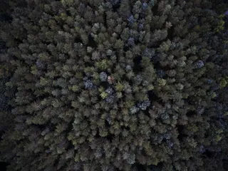 绿色森林的空中拍摄