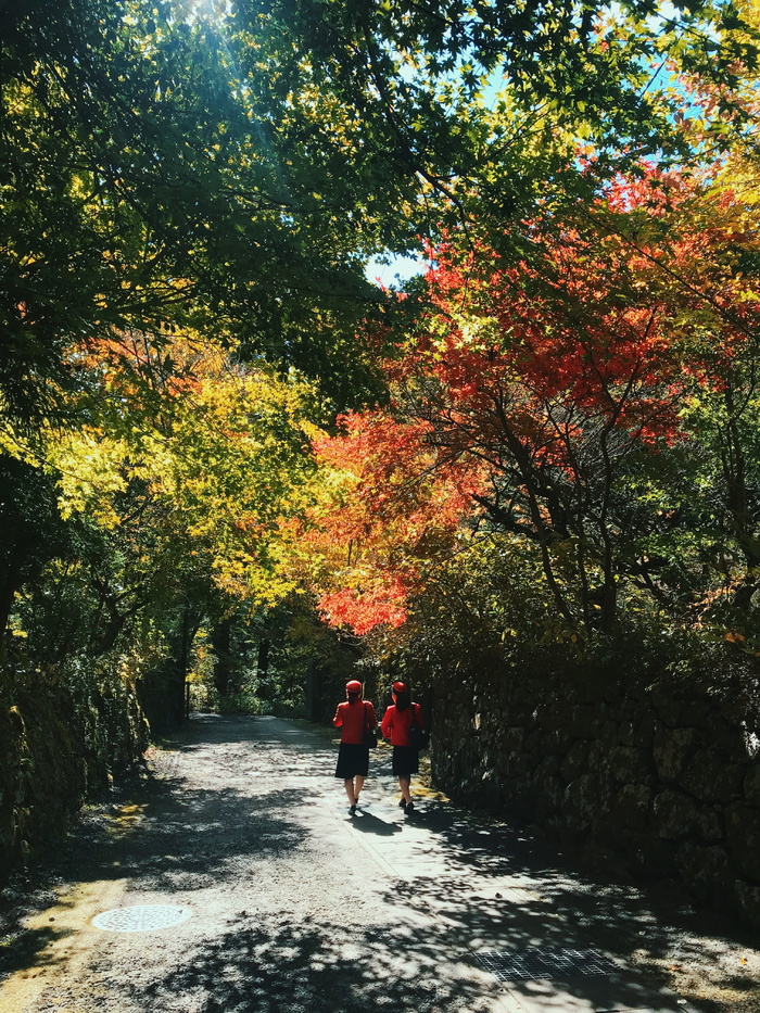 两个女人走在树旁的小路上