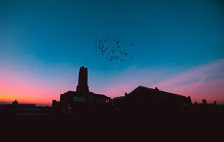 剪影摄影、鸟类、建筑、建筑、基础设施、日落、天空、云