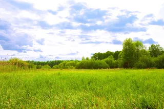 自然，户外，风景，风景，风景，天空，夏天