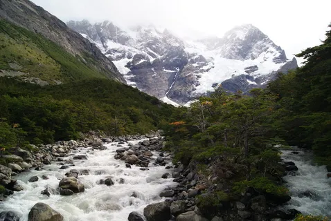 智利, 科迪勒拉德尔潘恩, 河, 自然, 森林, 法国, 进入野外, 山 智利, 科迪勒拉德尔潘恩, 河, 自然, 森林, 法国, 进入野外, 山