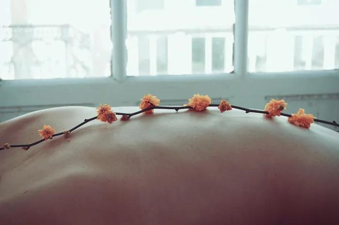 背部有橙色花瓣的花朵