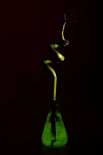 生物化学，生物，化学，化学，概念，环境，实验，玻璃