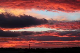 红、白、云、橙、日落、天空、大自然、树木