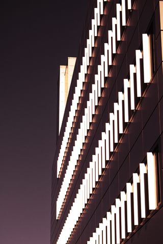 英国，坎特伯雷，肯特大学，城市，紫色，建筑，建筑，灯光