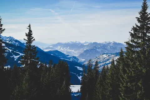 青松蓝天青山 青松蓝天青山