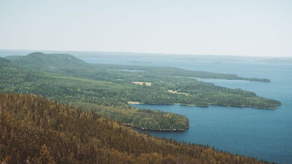 芬兰，pankakoski，ruunaan matkailu，自然，森林，树木，湖泊，水