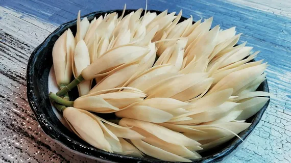 花，香，白，新鲜，食物，健康，食物和饮料，静物