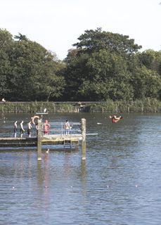 伦敦，英国，汉普斯特德希思，户外，惊艳，高清墙纸，墙纸，动作