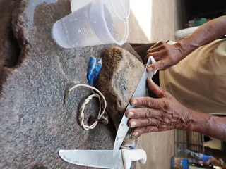 巴西、alter do chão、old、刀子、para、working、hands、man