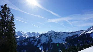 冬天, 太阳, 雪, 自然, 霜冻, 树, 天空, 背光