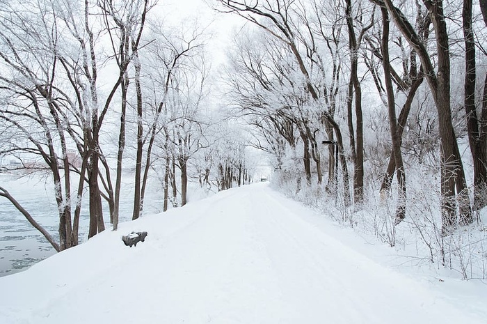 雪，封顶，小径，树木，旁边，身体，水，白天