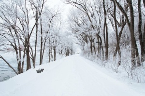 雪，封顶，小径，树木，旁边，身体，水，白天