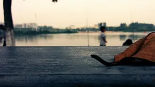 小清新，落叶，美丽，人体部分，天空，一个人，身体部分，自然