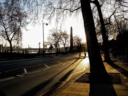 伦敦, 英国, 树, 街, 步行, 英格兰, 树, 植物