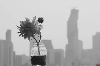 玫瑰、花瓶、花束、干花、花朵、粉色、快乐、装饰