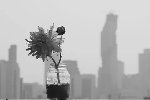 玫瑰、花瓶、花束、干花、花朵、粉色、快乐、装饰 玫瑰、花瓶、花束、干花、花朵、粉色、快乐、装饰