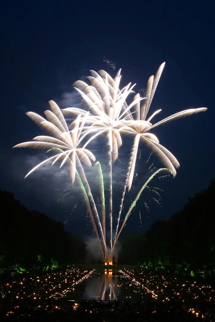 明亮、庆祝、色彩、夜晚、爆炸、节日、烟花、烟花