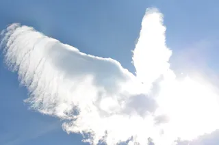 翼云形态摄影，云，鸟，天空，云，自然，背景，云天