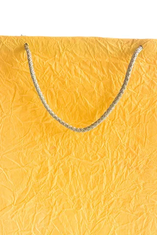 包、生日、携带、商业、消费主义、客户、eve