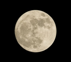 月亮、天文学、满月、月亮、月亮、太空、夜晚、天空的摄影