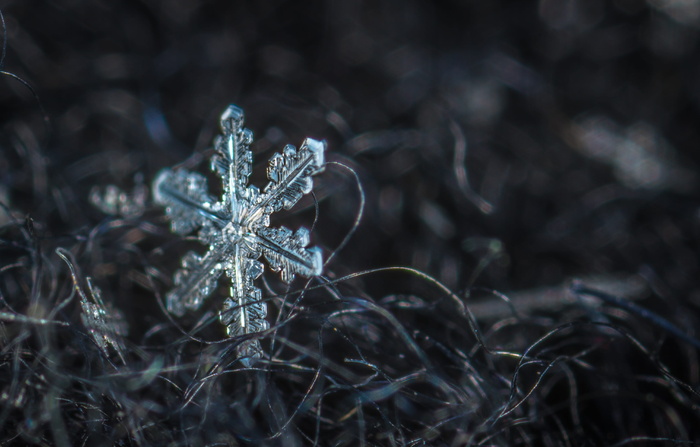 雪花，宏观，雪，羊毛，冬天，寒冷的温度，土地，自然