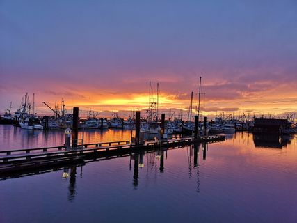 水，码头，海滨，港口，码头，加拿大，里士满，船
