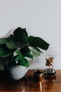 Chemex金杯咖啡机