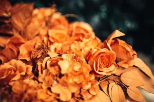画假花