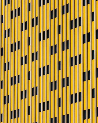 黄色和黑色条纹图案