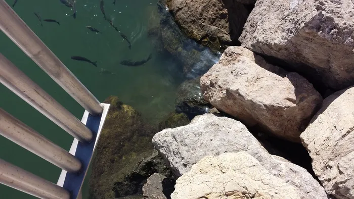 岩石，海洋，水，斯坦尼格，意大利，港口，立体，高角度视图