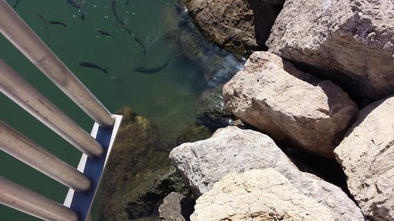 岩石，海洋，水，斯坦尼格，意大利，港口，立体，高角度视图