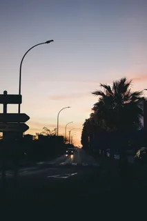 威严棕榈之间道路的剪影照片 威严棕榈之间道路的剪影照片