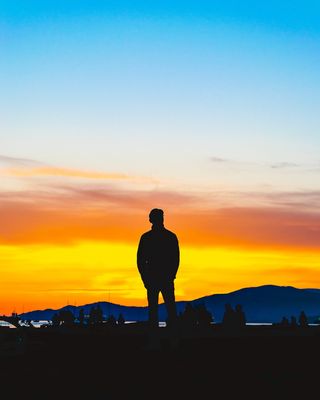 加拿大，温哥华，日落海滩公园，人，凝视，自然，老板，思想