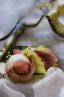 浪漫, 浪漫, 粉红色, 玫瑰, 开花, 绽放, 花, 休息 浪漫, 浪漫, 粉红色, 玫瑰, 开花, 绽放, 花, 休息