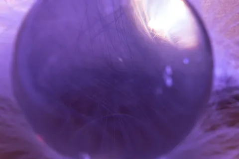 玻璃球,春季,舒适,透气,春季连衣裙,鸟羽毛,羽量级,轻盈 玻璃球,春季,舒适,透气,春季连衣裙,鸟羽毛,羽量级,轻盈