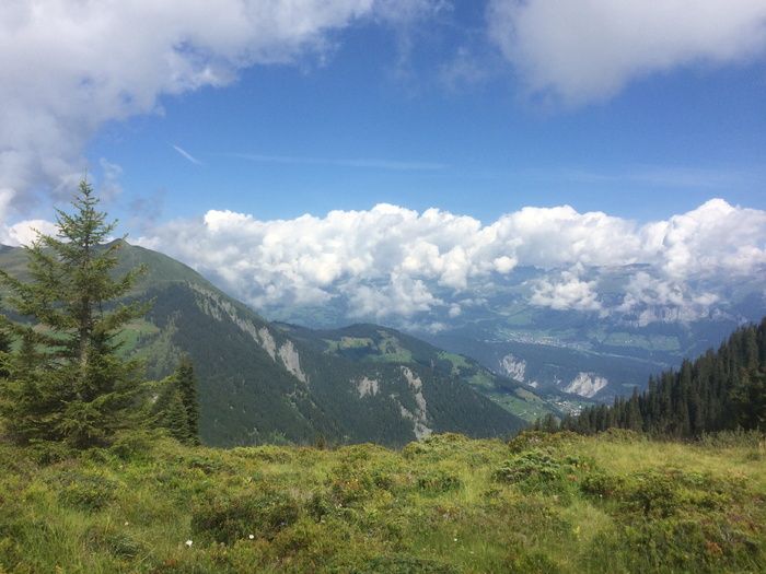 风景，云，l，玉米地，心情，山，云天，自然之美