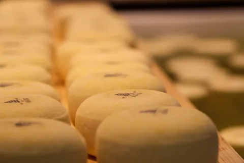 奶酪,荷兰,奶酪轮,老阿姆斯特丹,传统奶酪,食品和饮料,食品,新鲜度 奶酪,荷兰,奶酪轮,老阿姆斯特丹,传统奶酪,食品和饮料,食品,新鲜度