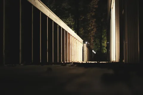 营地、甲板、森林、树叶、光线、自然、夜晚、户外