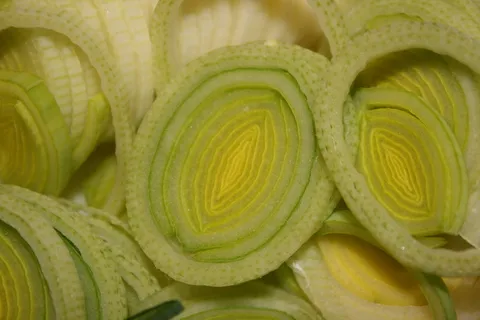洋葱,韭菜,宽带韭菜,冬韭菜,welsch洋葱,邪恶韭菜,西班牙洋葱,asch韭菜 洋葱,韭菜,宽带韭菜,冬韭菜,welsch洋葱,邪恶韭菜,西班牙洋葱,asch韭菜