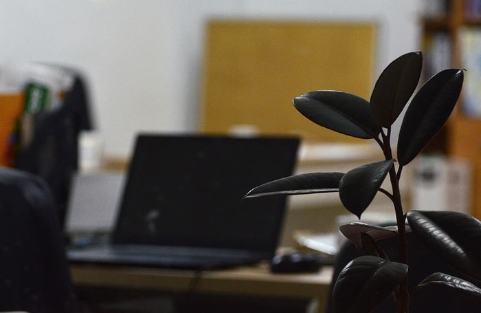 笔记本电脑、工作场所、工厂、办公室、树叶、技术、室内、商务