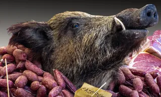 猪、野生半透明、头、香肠、肉、火腿、动物、哺乳动物