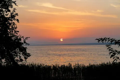 风景摄影，海洋，摄影，日落，草，树，植物，自然