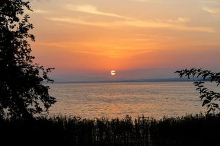 风景摄影，海洋，摄影，日落，草，树，植物，自然