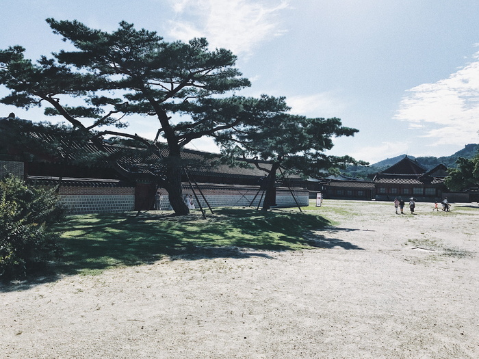 韩国，jongno 1（伊利诺伊州）。2（i）。3（sam）。4（sa），1-1 jongno 1（il）。2（i）。3（sam）。4（sa），韩国，植物，树木，建筑结构，天空